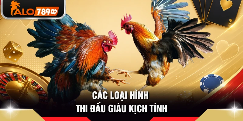 Các loại hình thi đấu giàu kịch tính