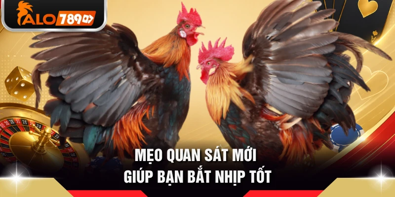 Mẹo quan sát mới giúp bạn bắt nhịp tốt